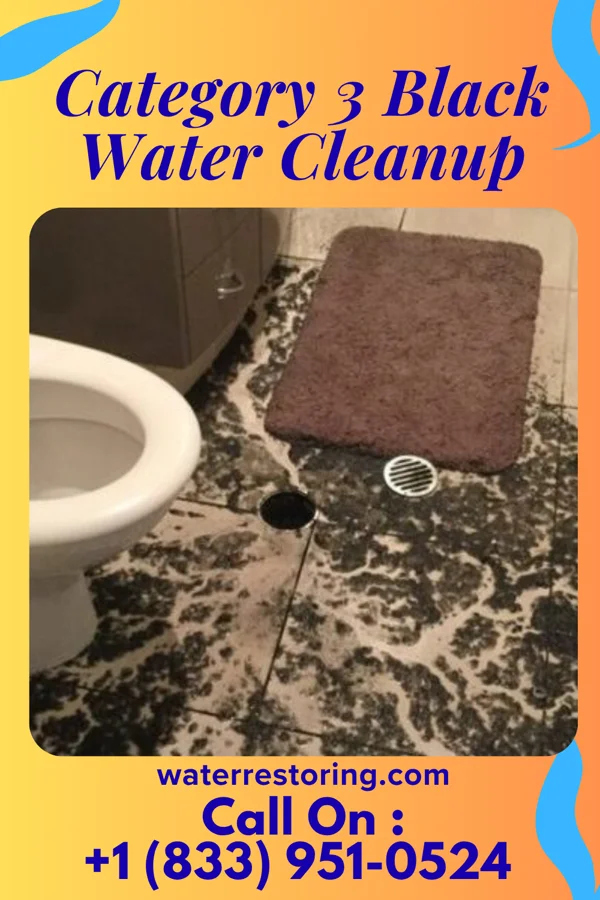 Category 3 Black Water Cleanup in New Holland, PA