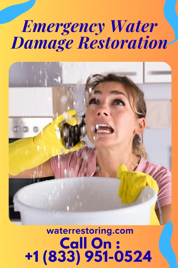 Emergency Water Damage Restoration in New Holland, PA