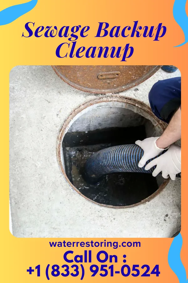 Sewage Backup Cleanup in New Holland, PA