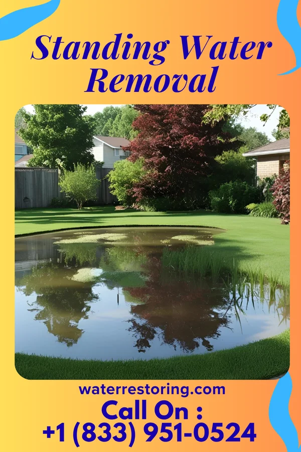 Standing Water Removal in New Holland, PA